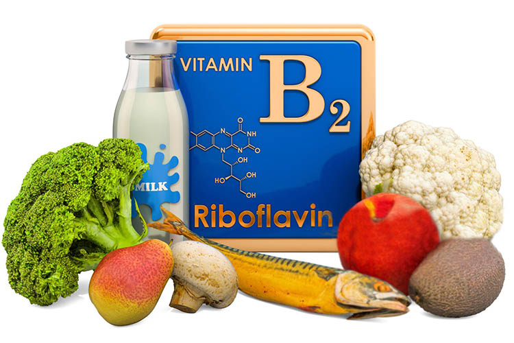 جگر یکی از بهترین منابع ویتامین b2 است. 
